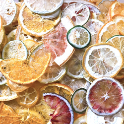 柑橘系 かけら ハーフカット 押しフルーツ 素材 沢山 ハーバリウム ドライフルーツ クリアリウム 2枚目の画像