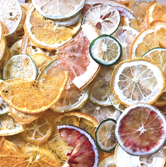 柑橘系 かけら ハーフカット 押しフルーツ 素材 沢山 ハーバリウム ドライフルーツ クリアリウム 2枚目の画像