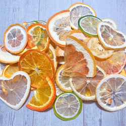 柑橘系 かけら ハーフカット 押しフルーツ 素材 沢山 ハーバリウム ドライフルーツ クリアリウム 1枚目の画像