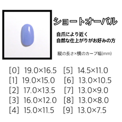 ニュアンス×べっこうネイル◇No.077 7枚目の画像