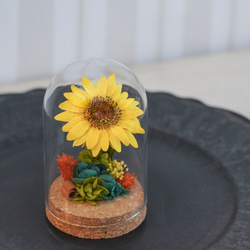 枯れない花・プリザーブドフラワーの「ミニひまわり」ガラスドームS