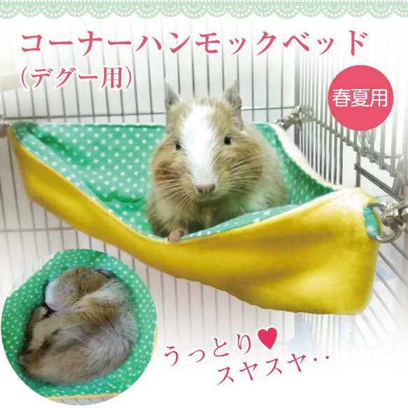 デグー コーナーハンモックベッド（デグー・シマリス・モモンガ