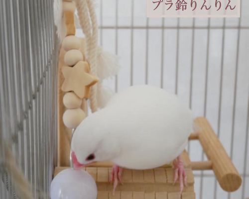 安全で安心☆金属不使用の鈴☆《星のプラ鈴りんりん♪♪》 おもちゃ