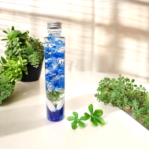 専用ページ　エーデルワイス額縁① ②ハーバリウム （植物標本）アートフレーム2個 20日迄の価格 エーデルワイス額縁 ② ハーバリウム （植物標本