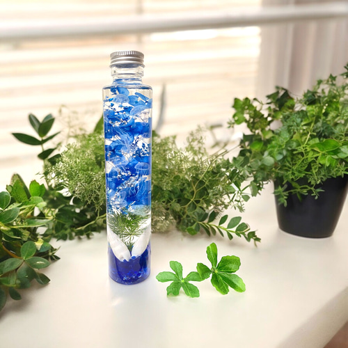 専用ページ　エーデルワイス額縁① ②ハーバリウム （植物標本）アートフレーム2個 6種のハーバリウム（植物標本）アート・アイボリーフレーム