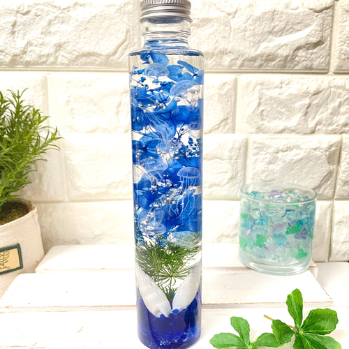 専用ページ　エーデルワイス額縁① ②ハーバリウム （植物標本）アートフレーム2個 6種のハーバリウム（植物標本）アート・アイボリーフレーム