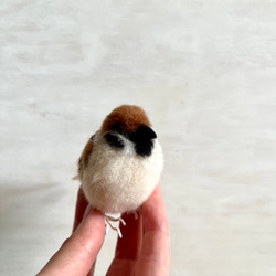 【受注制作】羊毛フェルト スズメ 8枚目の画像