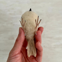 【受注制作】羊毛フェルト スズメ 9枚目の画像