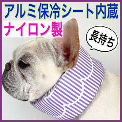紫（パープル） ペット服・アクセサリー のおすすめ人気通販