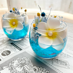 ミニ薔薇ドライフラワーのハーバリウム ハーバリウム・植物標本 AZRIMO