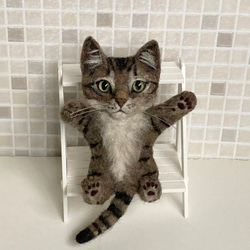 受注商品♪mia♪ へそ天子猫　キジトラ　ブローチ　ハンドメイド 羊毛フェルト 子猫 1枚目の画像