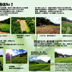 ＜私たちが作った屋久島粉末緑茶＞二番茶120gx3 無農薬/無化学肥料/残留農薬ゼロ 8枚目の画像