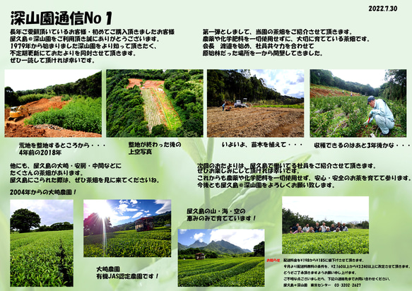 ＜私たちが作った屋久島粉末緑茶＞二番茶120gx3 無農薬/無化学肥料/残留農薬ゼロ 8枚目の画像