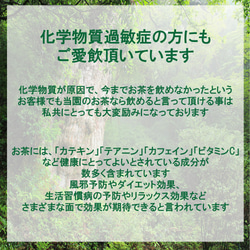 ＜私たちが作った屋久島自然栽培茶＞100gｘ5「深山の露」 無農薬/無化学肥料 3枚目の画像