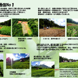 ＜私たちが作った屋久島自然栽培茶＞100gｘ5「深山の露」 無農薬/無化学肥料 8枚目の画像