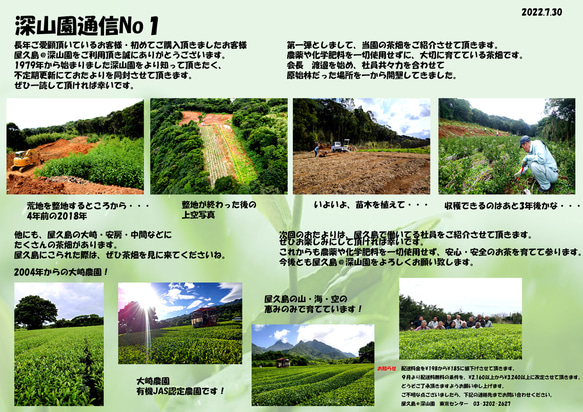 ＜私たちが作った屋久島自然栽培茶＞100gｘ5「深山の露」 無農薬/無化学肥料 8枚目の画像