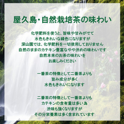 ＜私たちが作った屋久島自然栽培茶＞100gｘ5「深山の露」 無農薬/無化学肥料 6枚目の画像