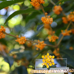 小桂花胸針秋季十月生日花 第9張的照片