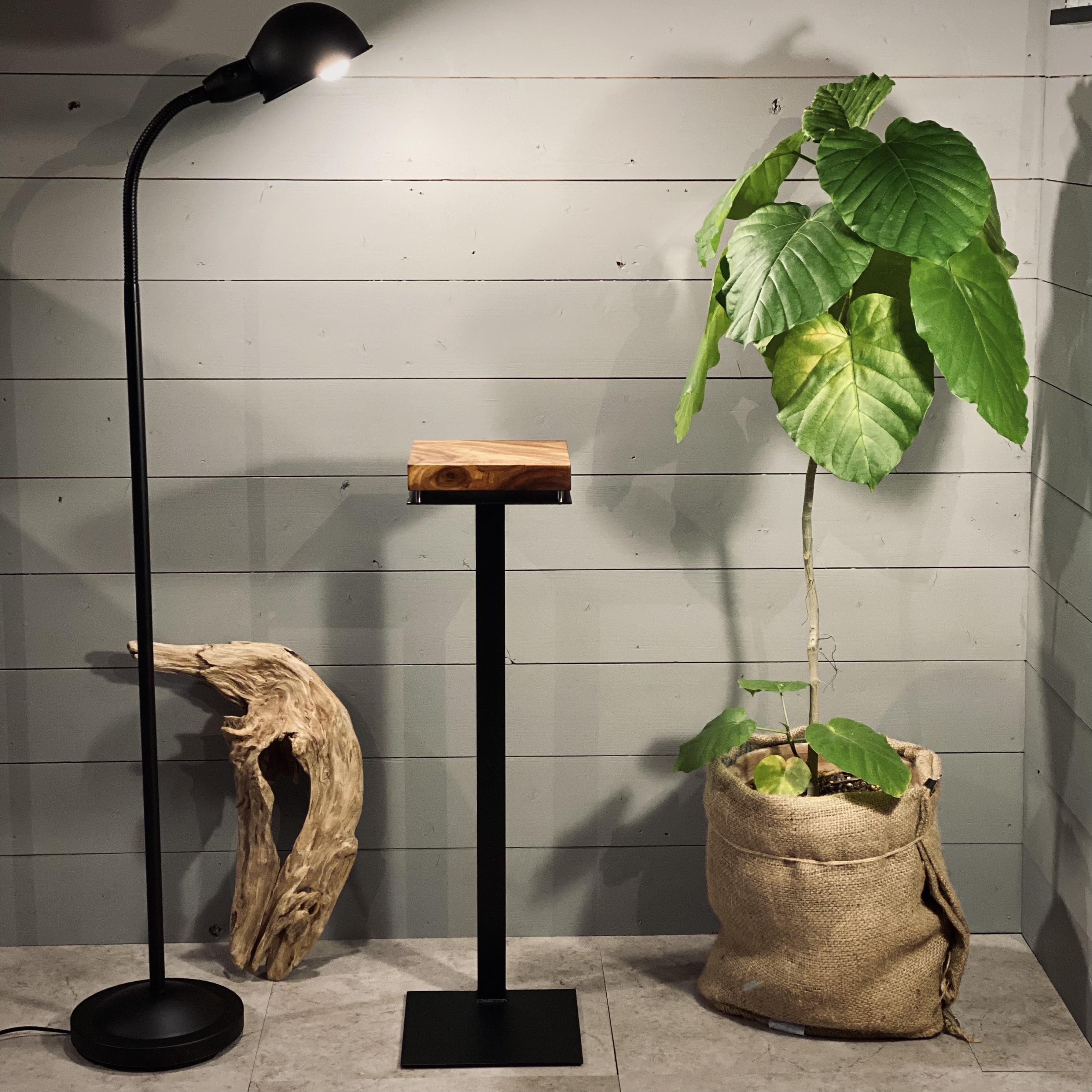 フラワースタンド 消毒液　花台　サイドテーブル アルコールスタンド 高さ80cm