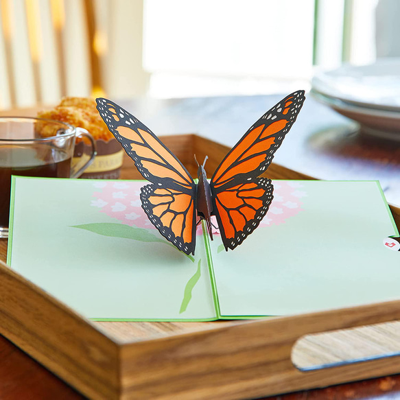 ポップアップグリーティングカード　Butterfly 7枚目の画像