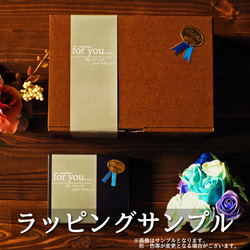 【3色セット】桜の花弁と猫 グラス タンブラー 280ml 8枚目の画像