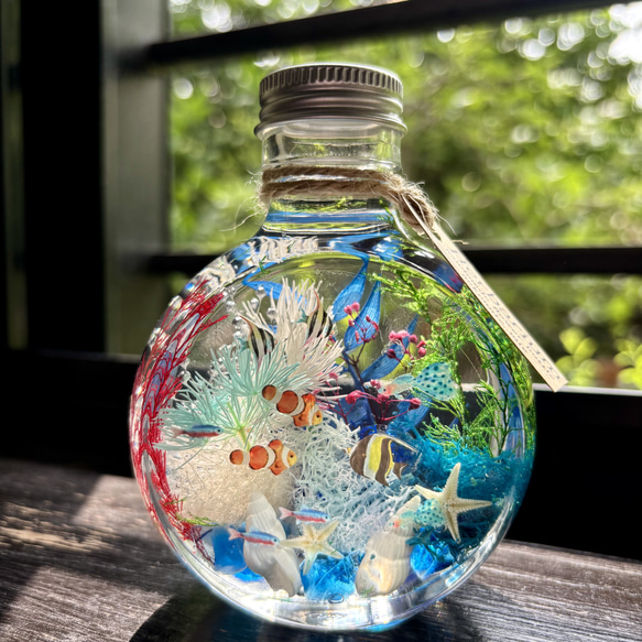アクアハーバリウム 熱帯魚 ネコ瓶 Mサイズ（150ml ） ハー