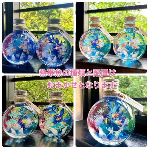 アクアハーバリウム 熱帯魚 ネコ瓶 Mサイズ（150ml ） ハーバリウム 