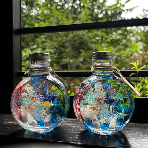 アクアハーバリウム 熱帯魚 ネコ瓶 Mサイズ（150ml ） ハーバリウム  