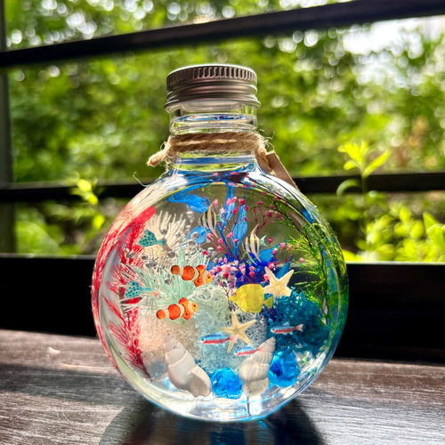 アクアハーバリウム 熱帯魚 ネコ瓶 Mサイズ（150ml ） ハー