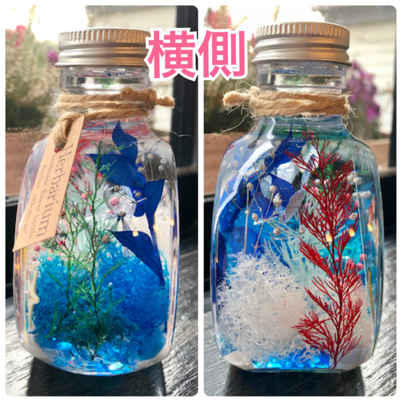 アクアハーバリウム　熱帯魚① ネコ瓶　Mサイズ（150ml ） 4枚目の画像