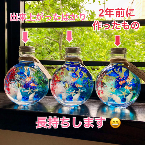 アクアハーバリウム　熱帯魚① ネコ瓶　Mサイズ（150ml ） 8枚目の画像