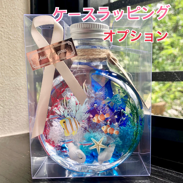 アクアハーバリウム　熱帯魚① ネコ瓶　Mサイズ（150ml ） 9枚目の画像