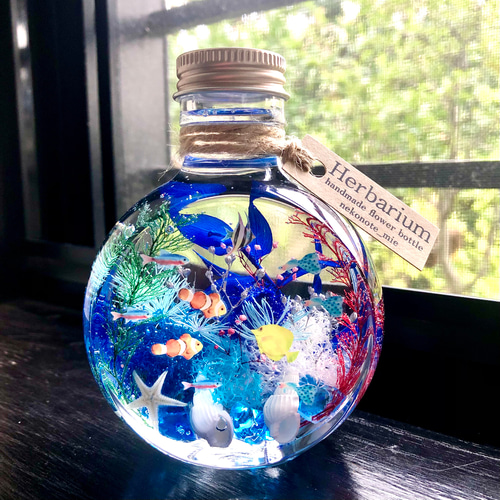 アクアハーバリウム 熱帯魚 ネコ瓶 Mサイズ（150ml ） ハー