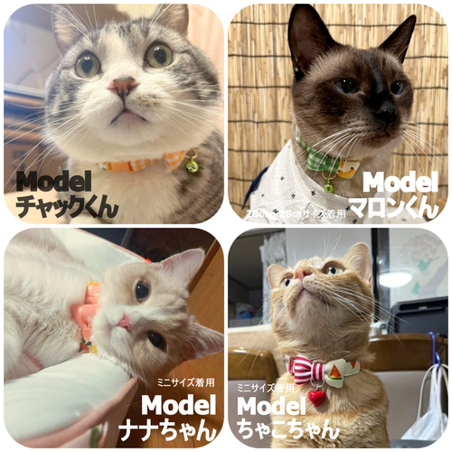 弾けるフルーツ！アシンメトリーなりぼん＊猫ちゃん首輪 リード・首輪