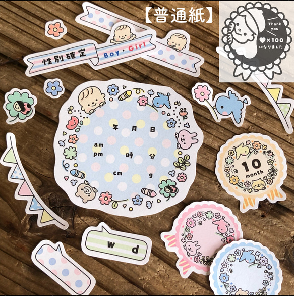 普通紙】マタニティ・エコーアルバムフレーク ☺︎赤ちゃんアルバムや 
