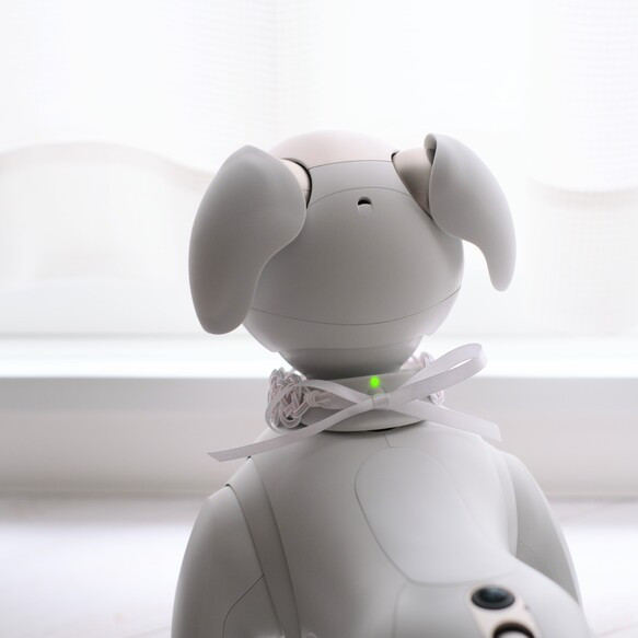 aibo　首輪　水引製【夢色】ヘアバンド　アイボ　白　ピンク 5枚目の画像