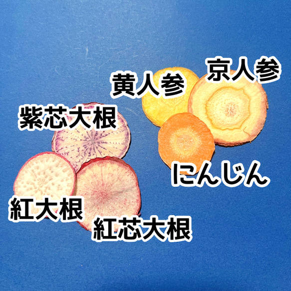 押し野菜 色々な野菜セット 押しフルーツ 押し花 素材 ボタニカルキャンドル ハーバリウム 3枚目の画像