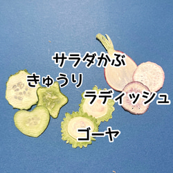 押し野菜 色々な野菜セット 押しフルーツ 押し花 素材 ボタニカルキャンドル ハーバリウム 4枚目の画像
