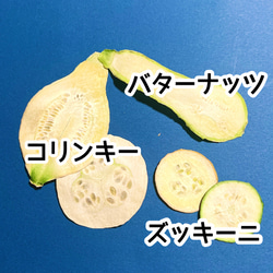 押し野菜 色々な野菜セット 押しフルーツ 押し花 素材 ボタニカルキャンドル ハーバリウム 2枚目の画像