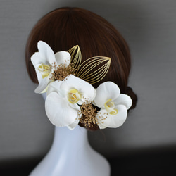 こだわりの胡蝶蘭×ゴールドの髪飾りセット　和装　ウェディングドレス　成人式　袴 ヘッドアクセ 2枚目の画像