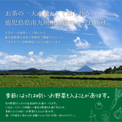 農薬・化学肥料不使用 旬のとれたて野菜10品目 気まぐれ野菜セット！鹿児島県産 野菜 食品 食べ物 食材 お野菜　 4枚目の画像