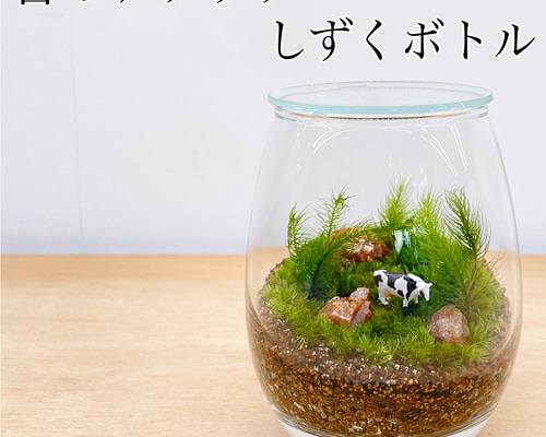 苔のテラリウム しずくボトル 牛 テラリウム Feel The Garden 通販