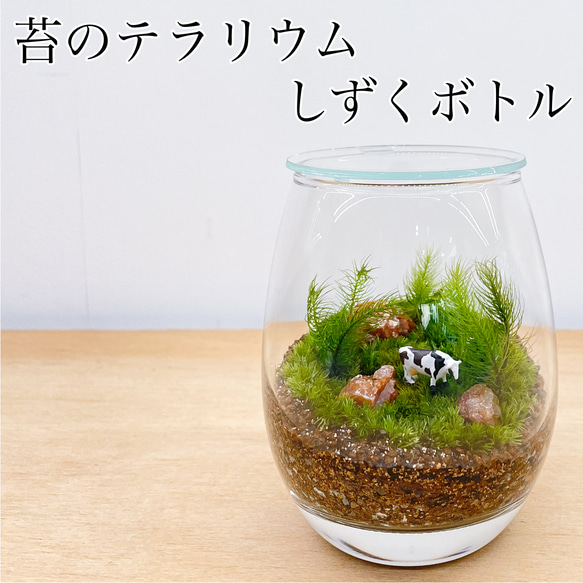テラニウム（ハンドメイド） 苔のテラリウム しずくボトル 牛 テラリウム Feel The Garden 通販