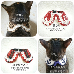 青＊ギンガムプリントの丸襟首輪   猫・犬用 6枚目の画像