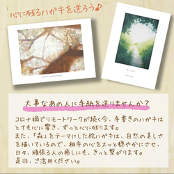 「FOREST」ポストカードセット（4枚入り） 2枚目の画像