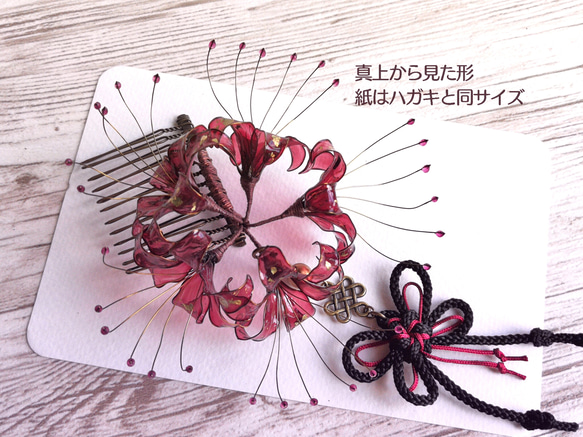 cluster‐amaryllis　彼岸花　曼珠沙華　hair stick 第9張的照片