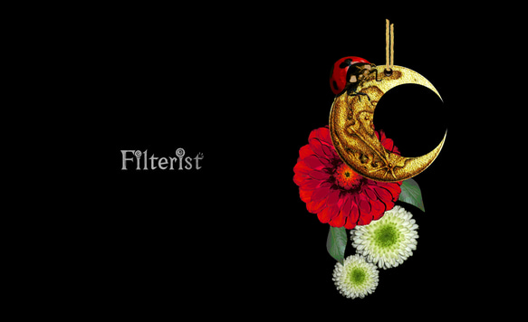 オリジナルマスク「威嚇」-Moon,Ladybug and Dahlia- 人気・おすすめ｜売れ筋商品・話題商品におすすめ コスパ重視 安心配送 国内発送・正規流通商品