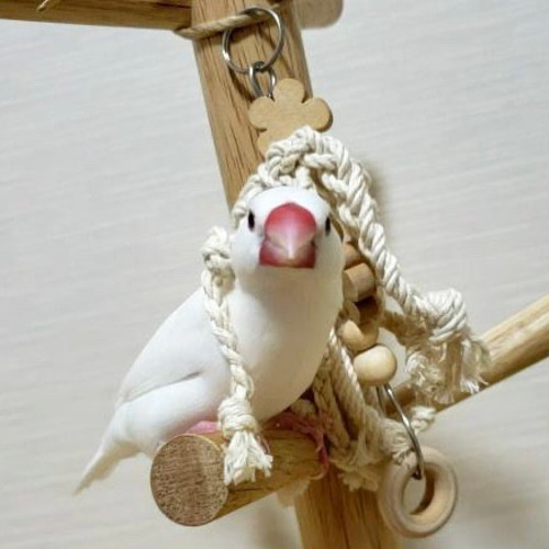 安全で安心《お花のツンツンかみかみ》✩.*˚鳥 インコ おもちゃ