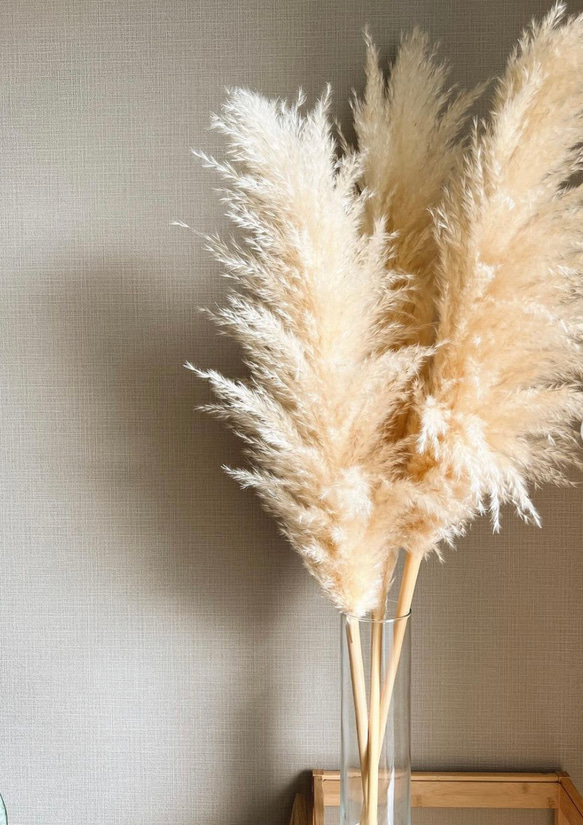 【まとめ売り】ドライフラワーパンパスグラスウェディングインテリア飾り大容量韓国 まとめ売り】ドライフラワーパンパスグラスウェディングインテリア飾り