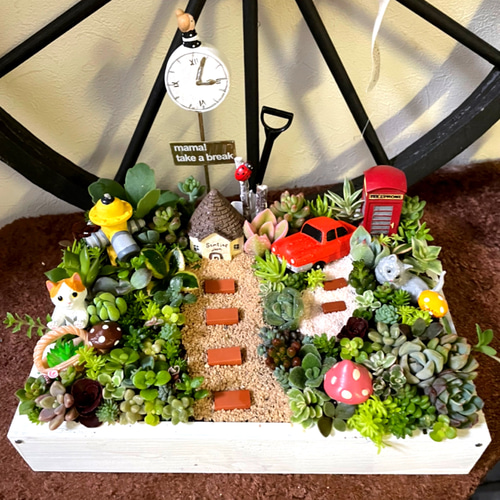 プレゼントにも〜受注制作 にゃんにゃん箱庭風多肉植物寄せ植え 多肉